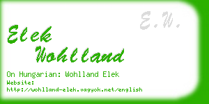 elek wohlland business card